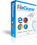 File Cleaner